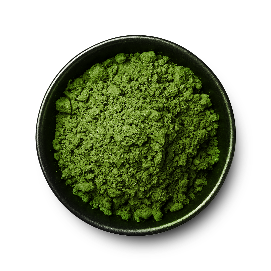 Matcha Powder